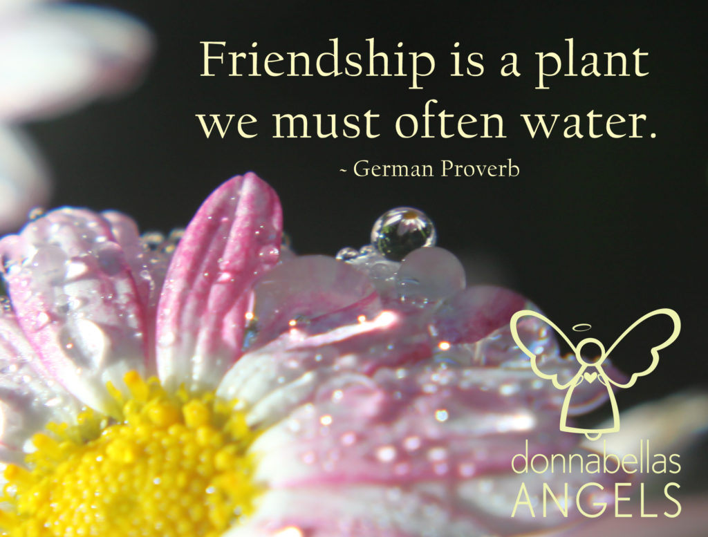 Friendship is a plant we must often water. - German Proverb